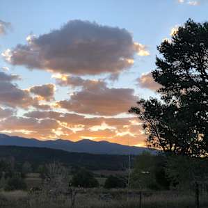 Head in the Clouds Ranch