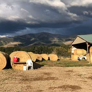 The Stack Yard - fresh water provided and the cleanest outhouse I’ve ever used. (not in the photo)
