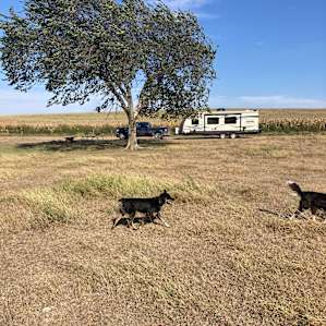 Lazy AA Land & Cattle Camping