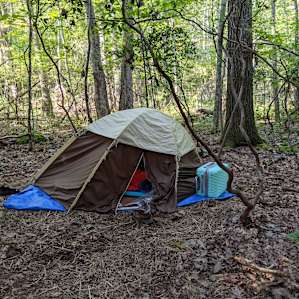 Enchanted Encampments