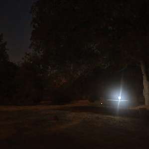 She'll leave the light on for you.