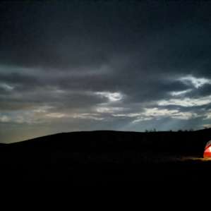 nighttime on the ranch