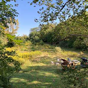 Looking at our spot from the treehouse.