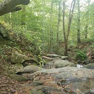 Historic Spring House (Tent Site)