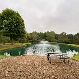 Cooling, scenic pond with fountain - an unexpected, yet welcome surprise!