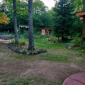 View looking towards chicken coup.