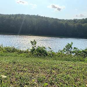 Riverfront Camspite