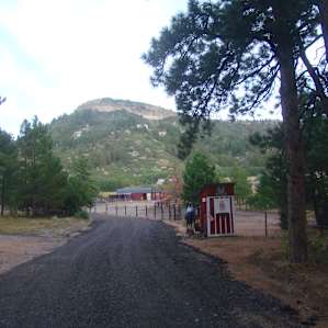 the long driveway!