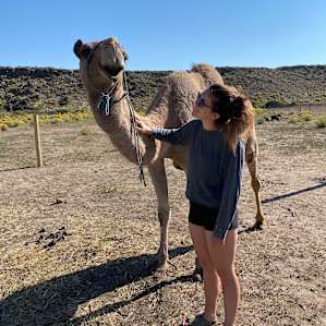Camels and a Yurt