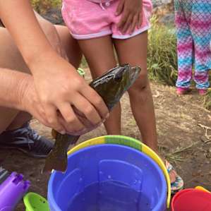 A little bass! We also caught a frog and saw turtles in the river.