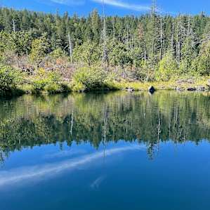 River Overlook Dome, Cedar Bloom