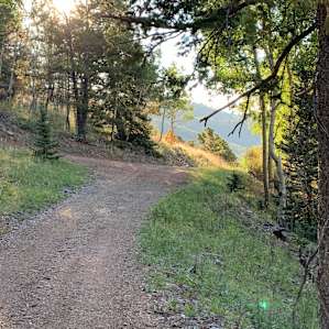 RHIZE MNTN RETREAT GOLDBUG CABIN