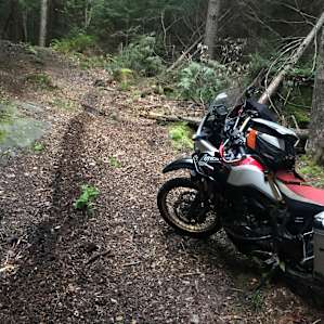 Boulder Wilds