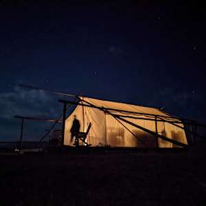Yellowstone Dreamin Camp