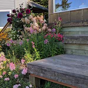 gorgeous flowers all over the property