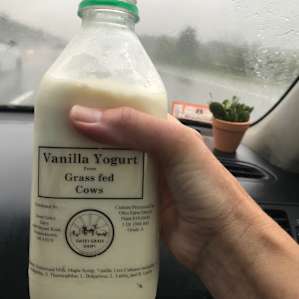Yummy yogurt