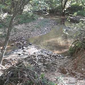 Creekside campsite