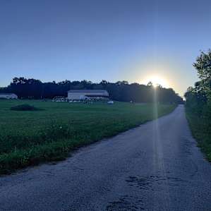 Taking a short walk down the road adjacent to the property