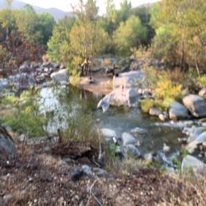 River Site Glorious #1