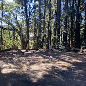 Forest Camping near Mt Madonna Park