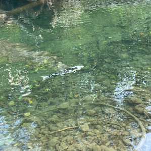 Tranquil Acres