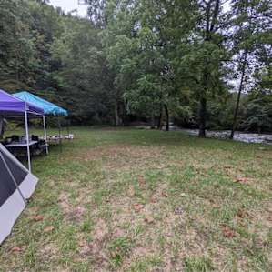 lots of space to camp!