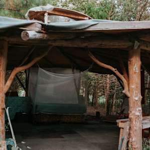Secluded Forest at Cambia Community