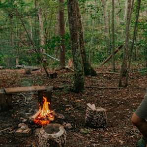 Secluded Forest at Cambia Community