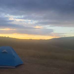 Photo of Primrose Meadows - Primrose Meadows (184)