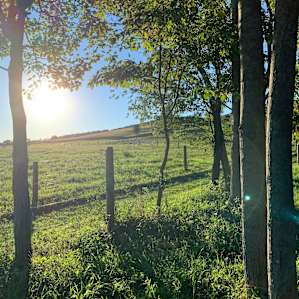View from site 1