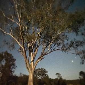 Dusk