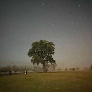 Misty 4am pic