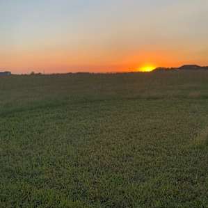 Bare Ass Acres
