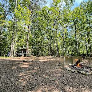 Hardwood forest