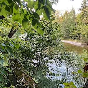 Elk creek