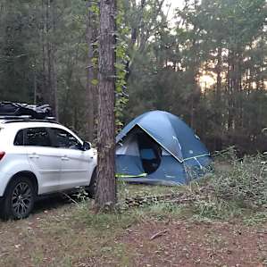 Goat Camp/primitive yet close to 75