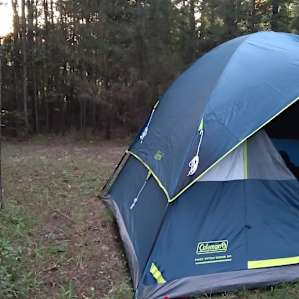 Goat Camp/primitive yet close to 75