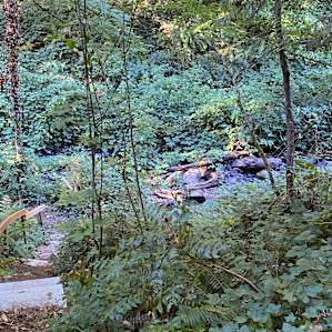 An aerial view of the creek side fireplace