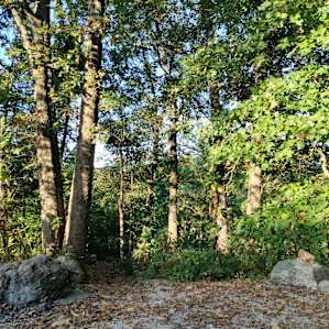 Our camp had a great peek-through view of the Ozark mountains through the trees