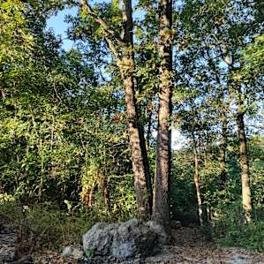 The yoga meditation area overlooks the hills and it's a breathtaking experience.