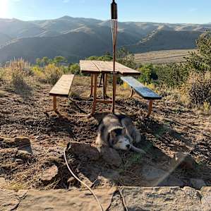 Little Cabin with a view
