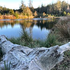 Cranberry Overlook
