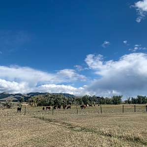 Cow Dog Camp, Boulder MT
