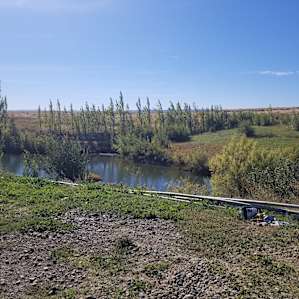 There are 2 ponds to walk around and wonderful streams between that are full of frogs and cattails LOVE LOVE