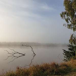 Morning views from Collins Camp
