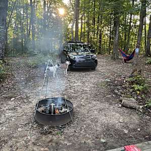 Plenty of places for a hammock