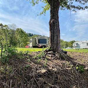Blue Heron Hideaway