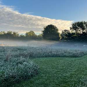 Meadow Camping