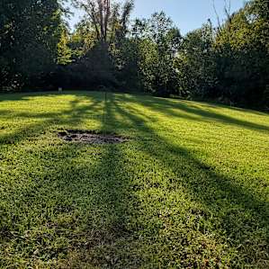 Just a random, peaceful picture.