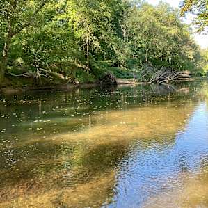 Batesville Mountain Campground